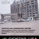 GIOSTAR Chandigarh