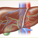 Liver Cirrhosis Treatment Giostar