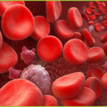 THALASSEMIA TREATMENT – GIOSTAR