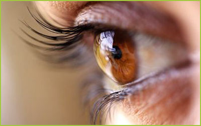 Retinal Treatment from Stem Cells