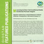publication-1